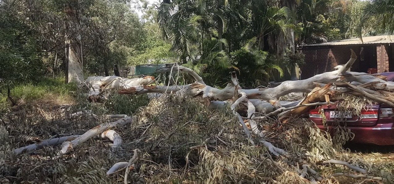 Land & Lot Clearing service in Farmington, NM